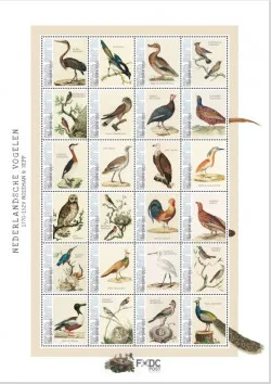Caribbean Netherlands Bonaire 2021 Birds sheetlet MNH