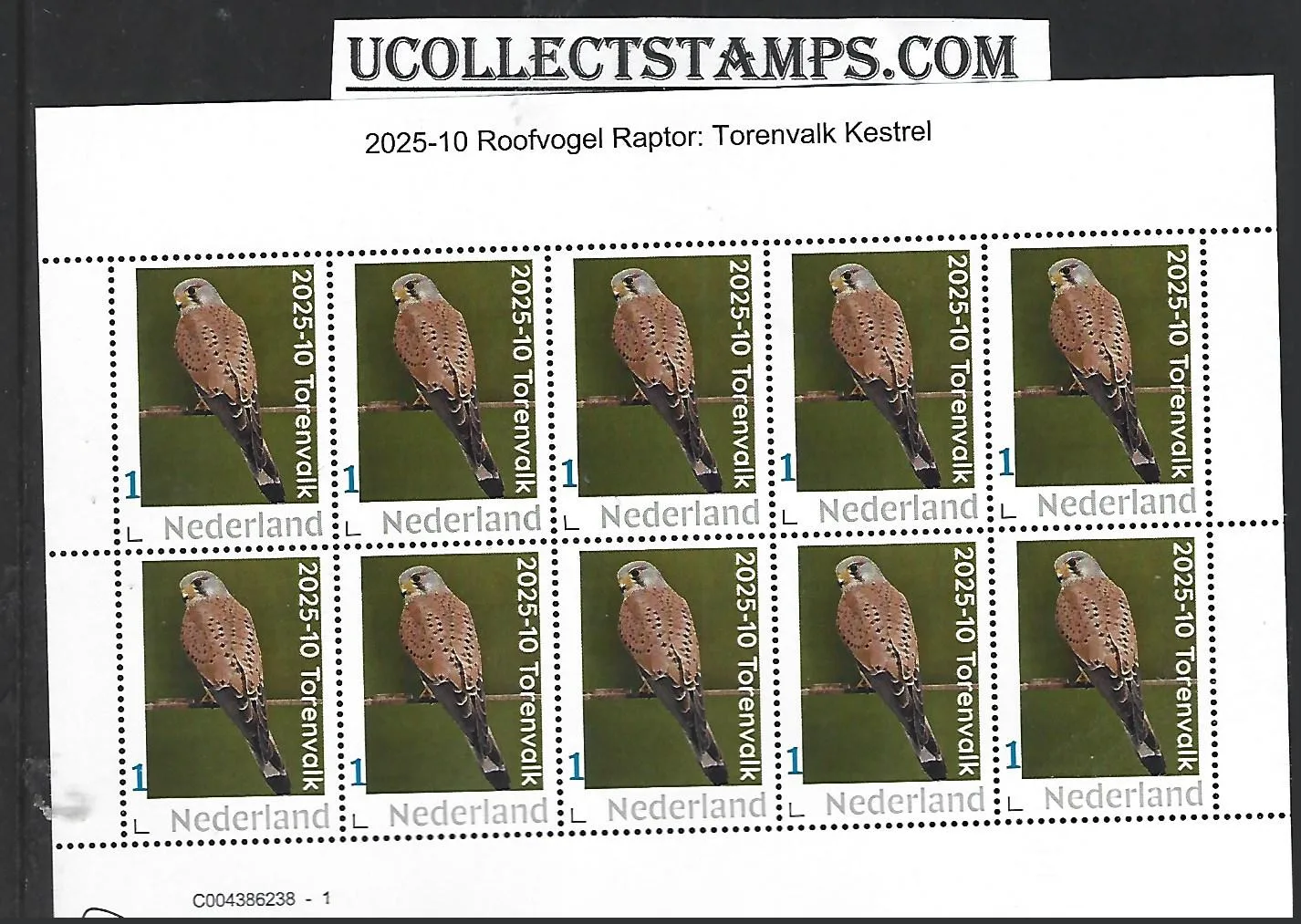 Netherlands 2025-10 Raptor Bird: Eurasian Kestrel sheet MNH