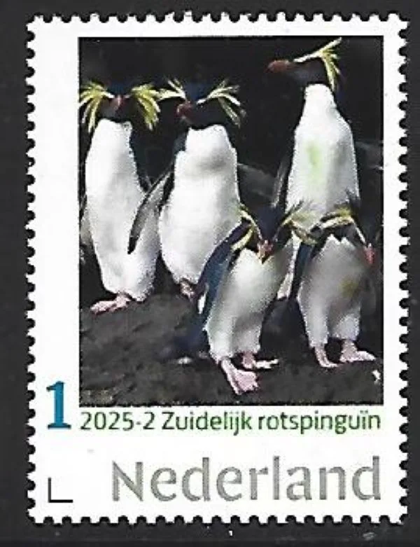 Netherlands 2025-2 Penguin: southern rock penguin MNH