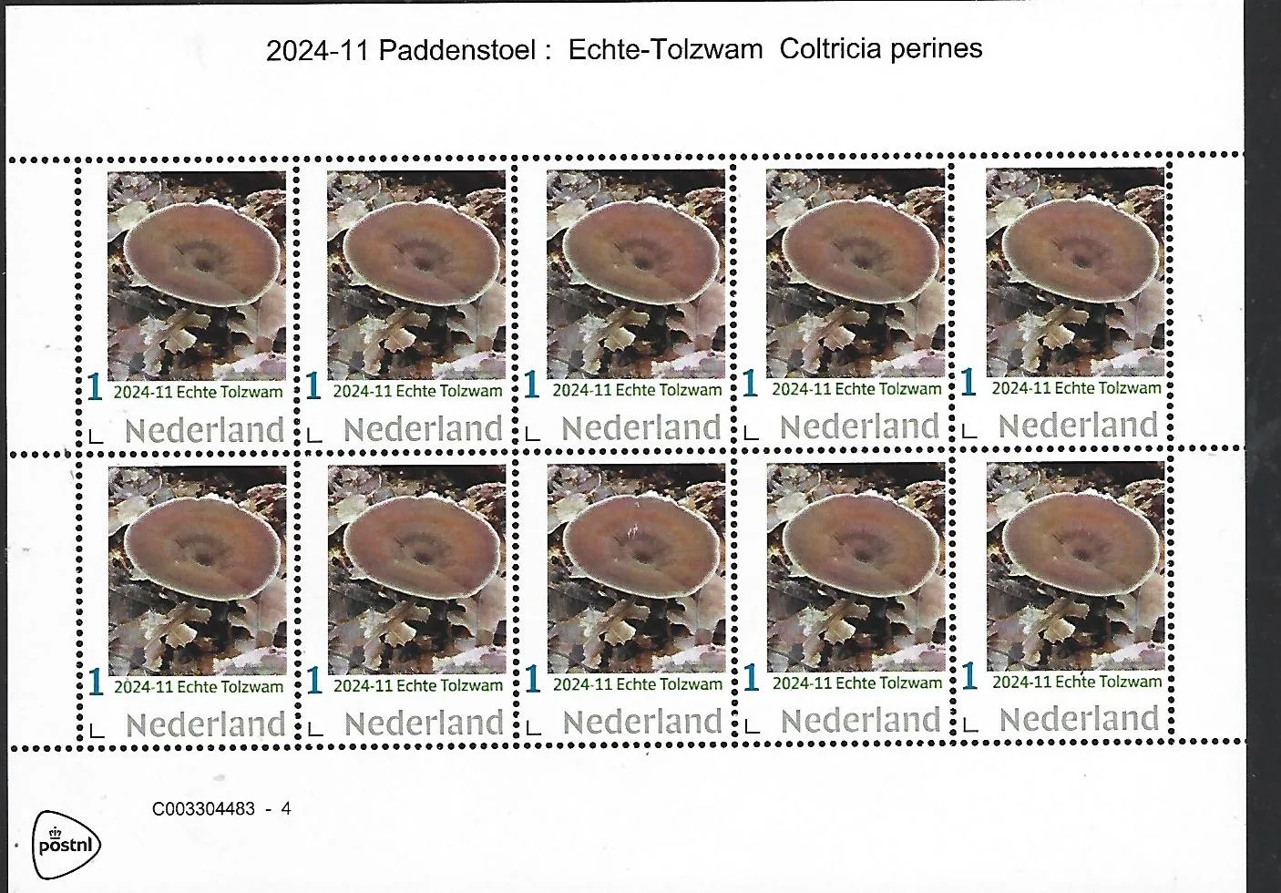 Pays-Bas 2024-11 Champignon Mushroom : Vrai Cèpe feuillet neuf/mnh