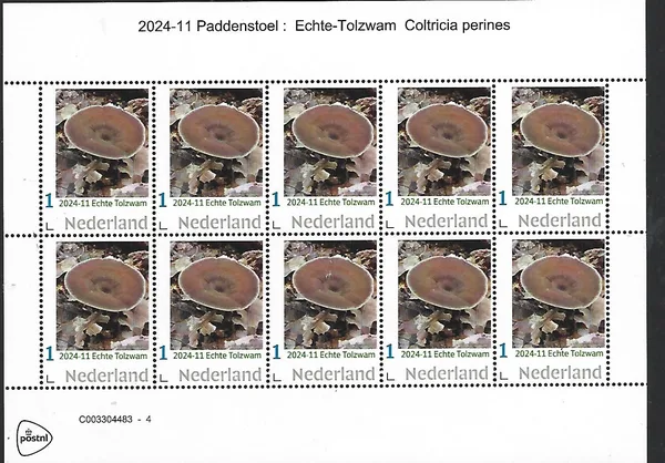 Netherlands 2024-11 Mushroom: Amanita caesarea sheetlet MNH