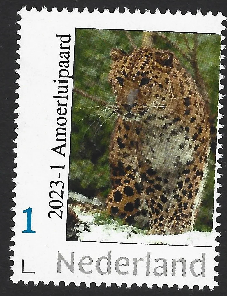 Niederlande 2023-1 Natur Amurleo­pard postfrisch/mnh