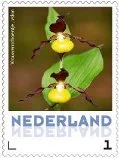Netherlands 2013 Ucollect Orchids 2 Lady's Slipper MNH