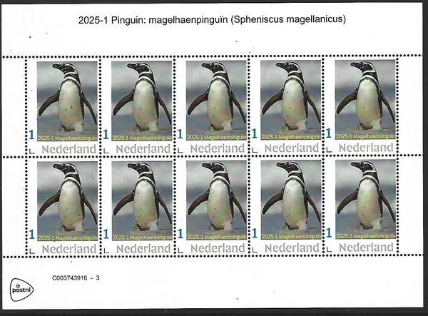 Netherlands 2025-1 Penguin: Magellanic Penguin sheetlet MNH