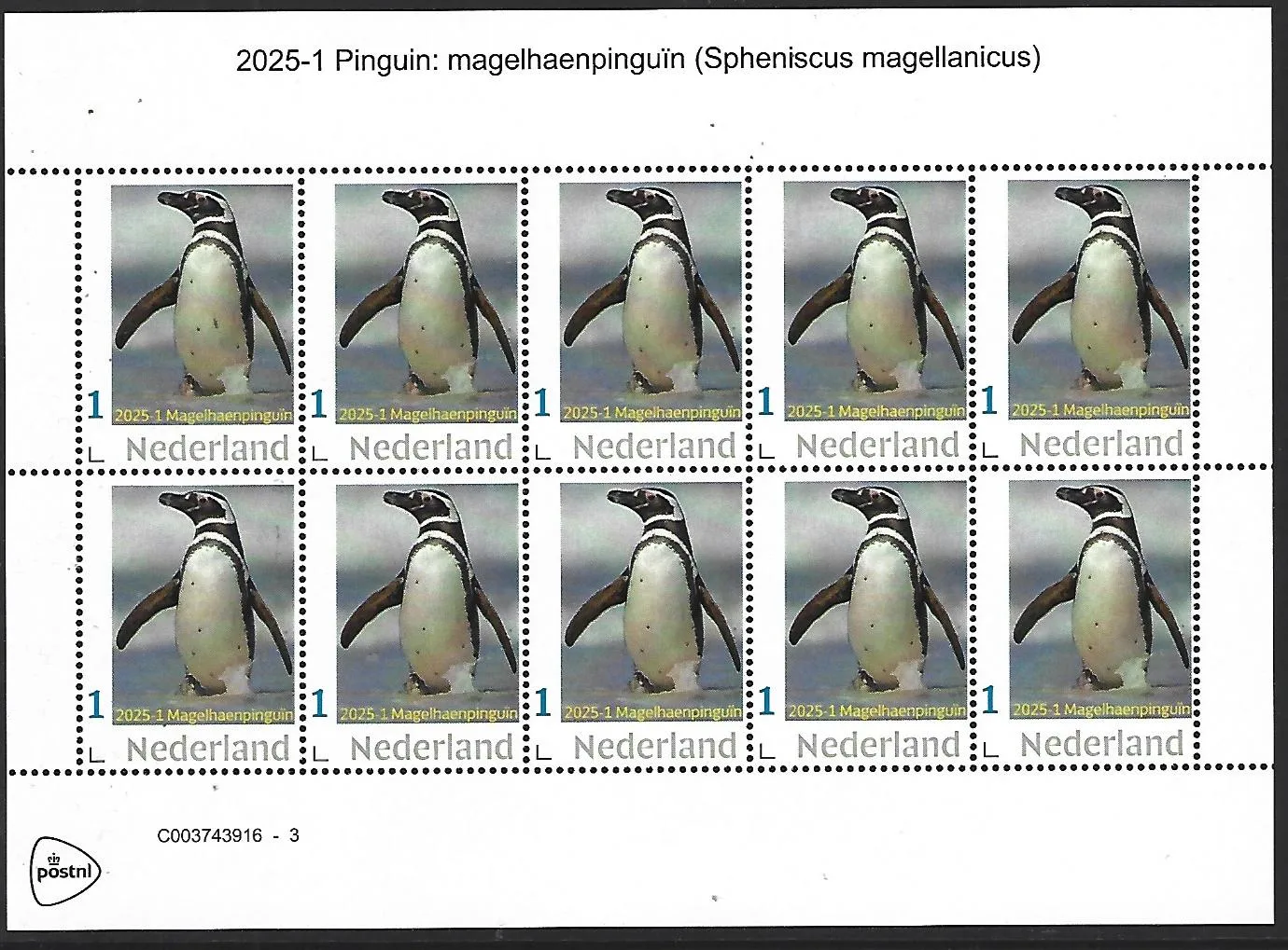 Nederland 2025-1 Pinguin Penguin: Magelhaenpinguin sheetlet postfris/mnh