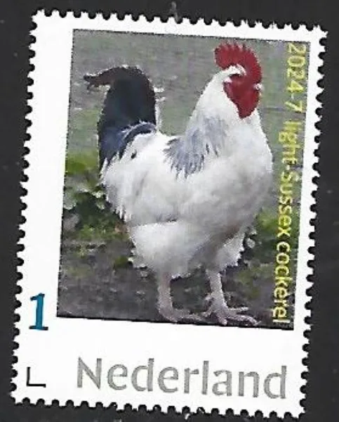 Netherlands 2024-7 Chicken: Light-Sussex cockerel MNH