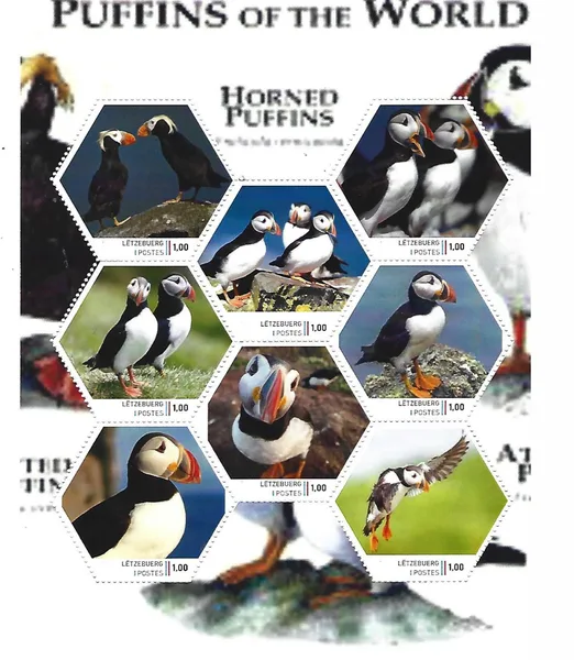 Luxembourg 2024 Puffins 1 Puffins of the World sheetlet MNH