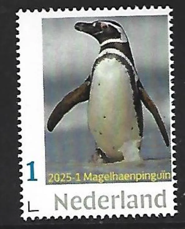 Nederland 2025-1 Pinguin Penguin: Magelhaenpinguin postfris/mnh