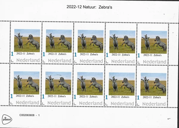 Netherlands 2022-12 Nature: Zebra sheet MNH