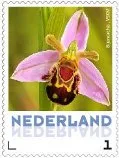 Pays-Bas 2013-5 Ucollect Orchidée Ophrys abeille neuf/mnh