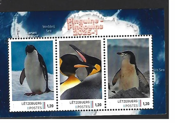 Luxembourg 2025-1 Antarctica Penguins: Penguins Miniature sheet MNH