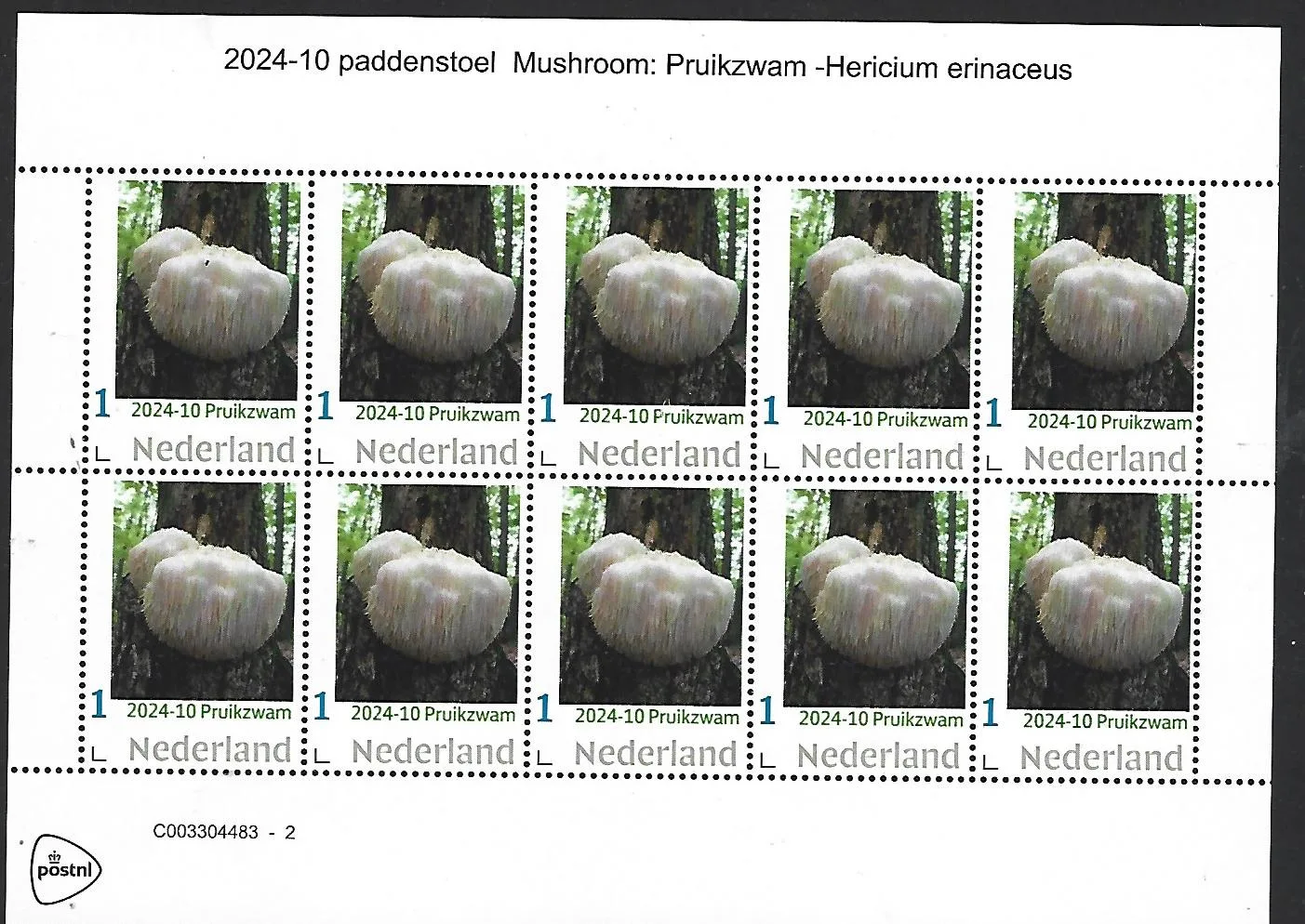 Pays-Bas 2024-10 Champignon : Pruikzwam Henricium erinaceus feuillet neuf/mnh