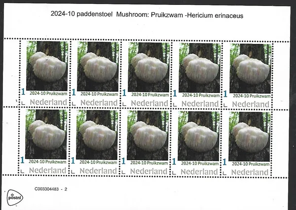 Netherlands 2024-10 Mushroom: Monkey Head Henricium erinaceus sheetlet MNH