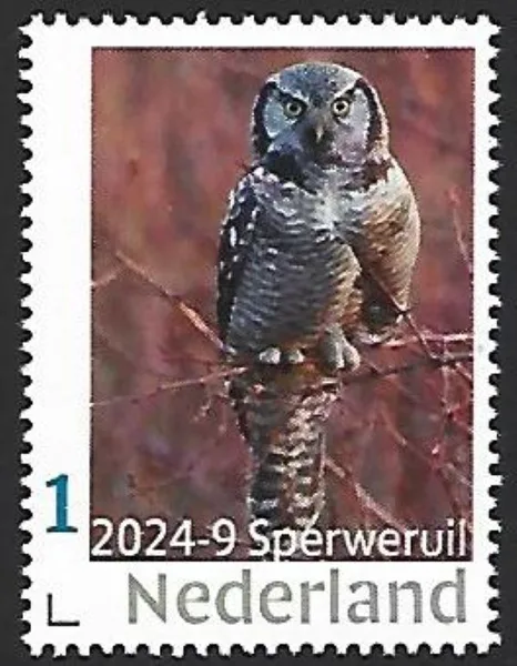 Nederland 2023-9 Uil owl: Northern Hawk owl postfris/mnh