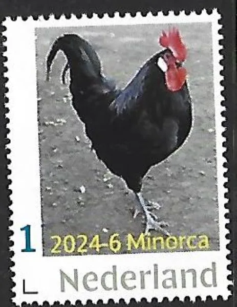 Netherlands 2024-6 Chickens Minorca MNH