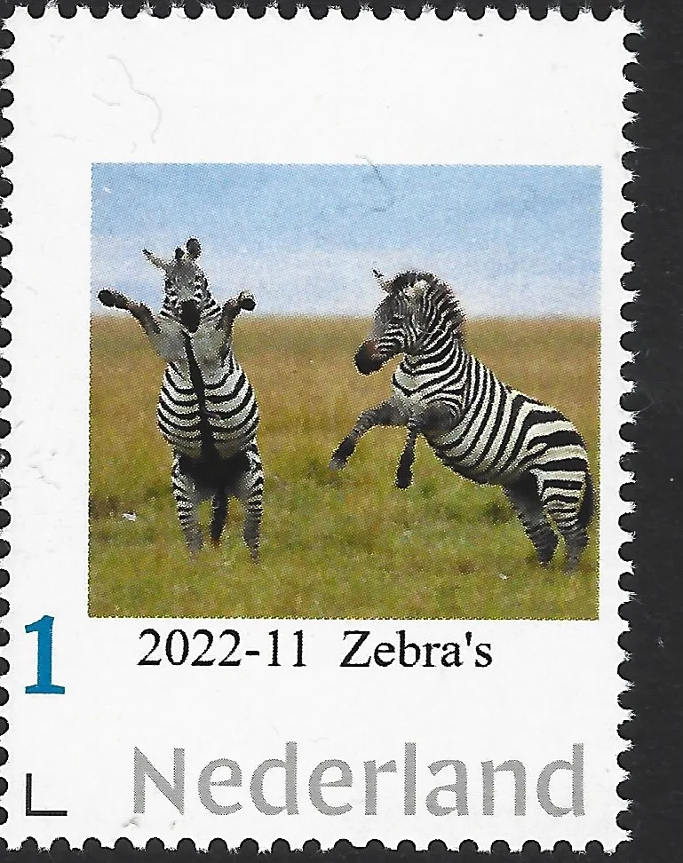 Niederlande 2022-12 Natur: Zebra postfrisch/mnh