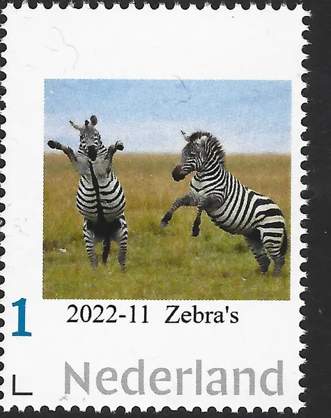 Netherlands 2022-12 Nature: Zebra MNH