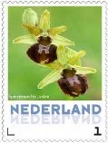 Netherlands 2013-4 Ucollect Orchid Spider Orchid MNH