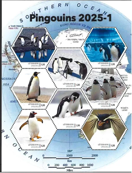 Luxembourg 2025-1 Antarctica Penguins sheetlet MNH