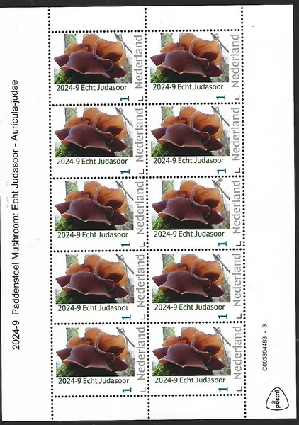 Netherlands 2024-9 Mushroom: Judas's Ear sheet MNH
