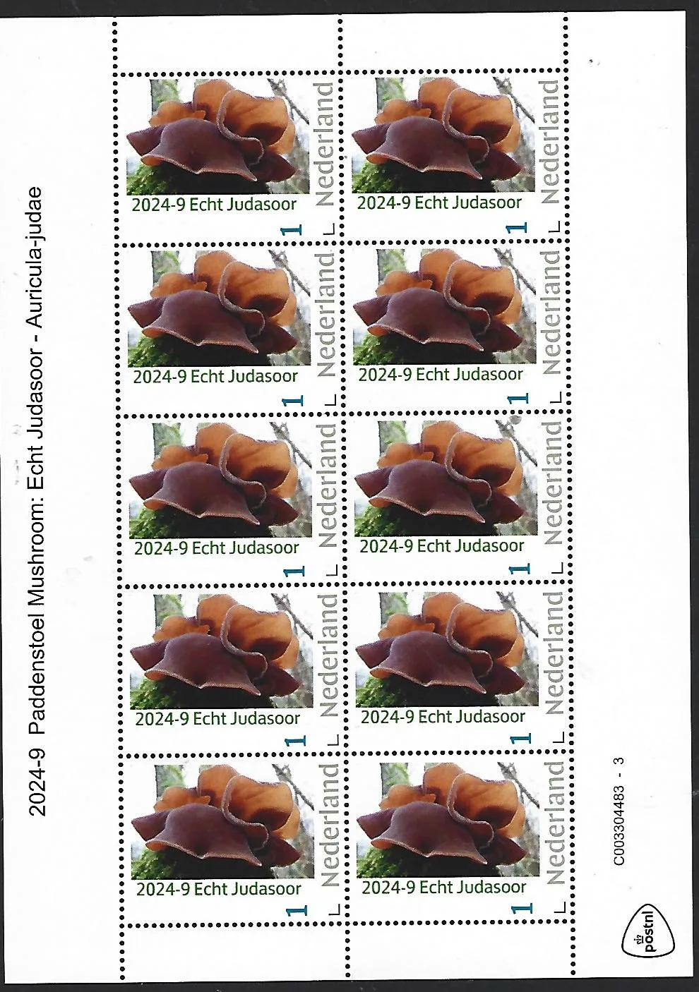 Nederland 2024-9 Paddenstoel Mushroom: Echt Judasoor vel postfris/mnh