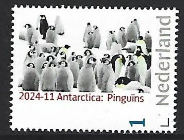 Netherlands 2024-11 Antarctica isle Amsterdam Penguins MNH
