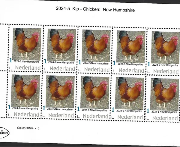 Netherlands 2024-5 Chicken: New Hampshire sheetlet MNH