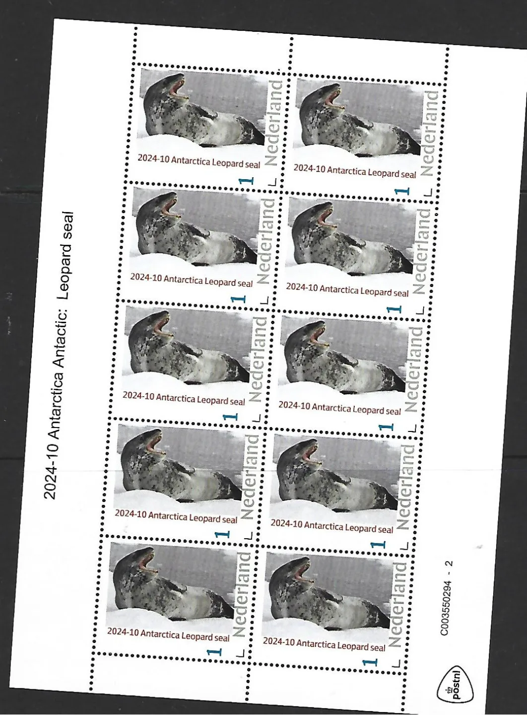 Netherlands 2024-10 Antarctica Antarctic: Leopard seal MNH