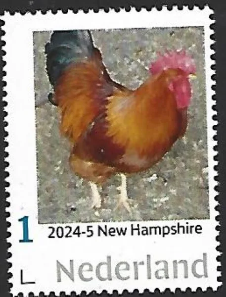 Netherlands 2024-5 Chicken: New Hampshire MNH