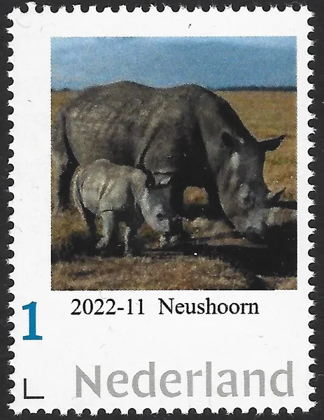 Netherlands 2022-11 Nature Black Rhino MNH