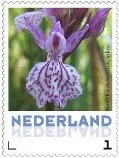 Pays-Bas 2013-8 Ucollect Orchidée orchis tachetée de dune neuf
