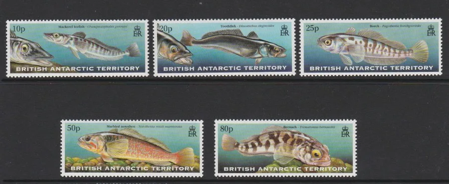 288-292 Vissen 1999
