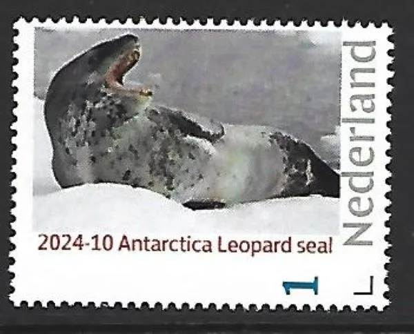 Netherlands 2024-10 Antarctica Antarctic: Leopard seal MNH