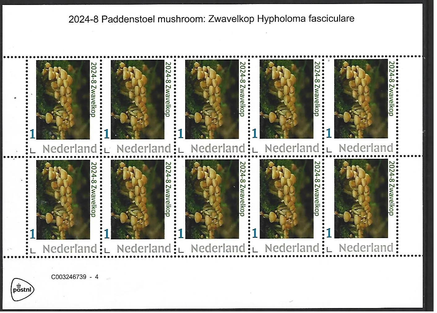 Nederland 2024-8 Paddenstoel Mushroom sheetlet postfris/mnh