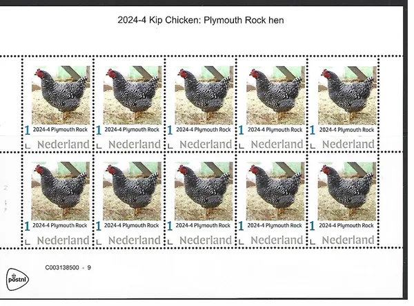 Netherlands 2024-4 Chicken: Plymouth Rock Hen sheetlet MNH