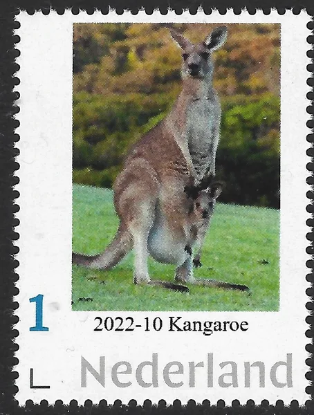 Netherlands 2022-10 Nature - Kangaroo MNH