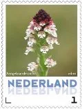 Netherlands 2013 ucollect Orchids 10 burnt orchis MNH
