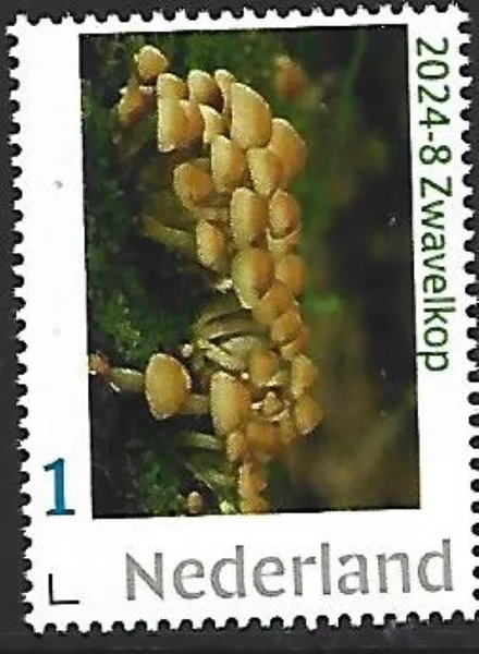 Netherlands 2024-8 Mushroom MNH