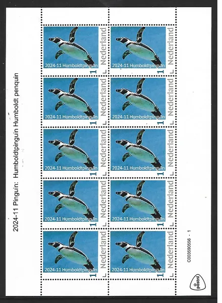 Netherlands 2024-11 Penguin: Humboldt penguin sheetlet MNH