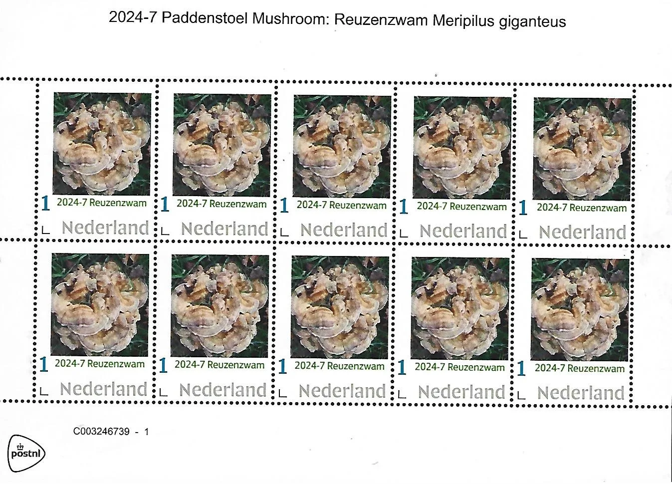 Netherlands 2024-7 Mushroom: Giant Polypore Meripilus giganteus sheetlet MNH