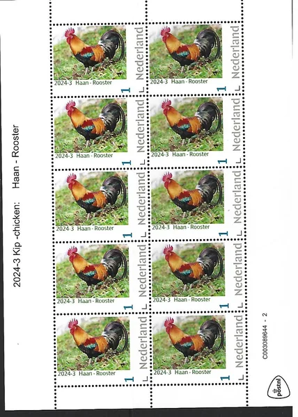 Netherlands 2024-3 Chicken: Rooster sheetlet MNH