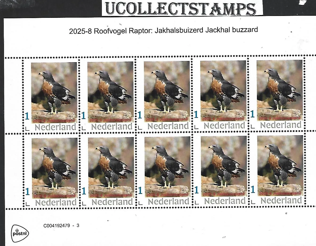 Netherlands 2025-8 Roofvogel Raptor: Jackal Buzzard sheetlet MNH