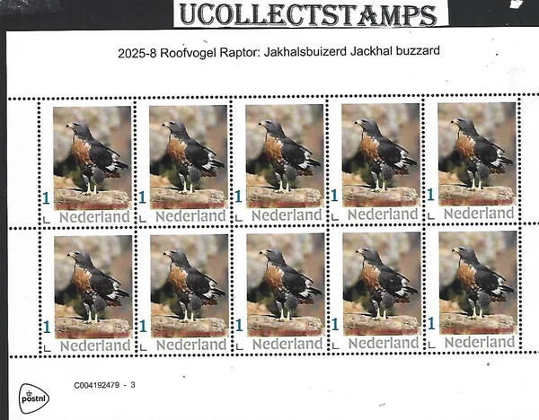 Netherlands 2025-8 Roofvogel Raptor: Jackal Buzzard sheetlet MNH
