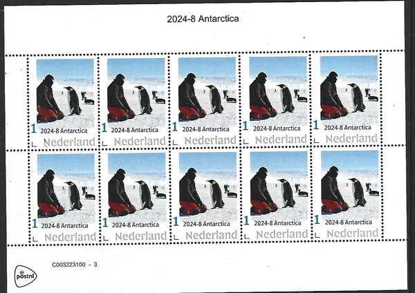 Netherlands 2024-8 Antarctica: explorers penguins sheetlet MNH