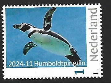 Pays-Bas 2024-11 Manchot: Manchot de Humboldt neuf/mnh