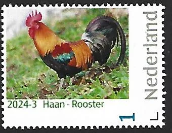 Pays-Bas 2024-3 Poule - Poulet : Coq neuf//mnh