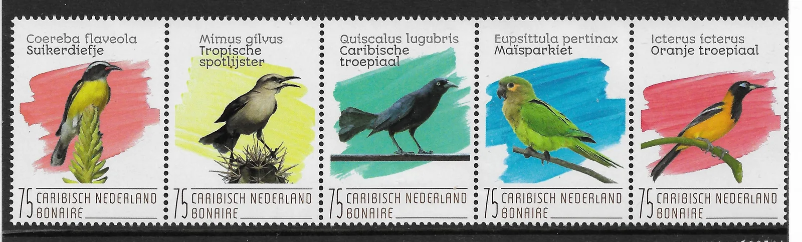 Caribisch Nederland Bonaire 2020 Vogels- brids postfris