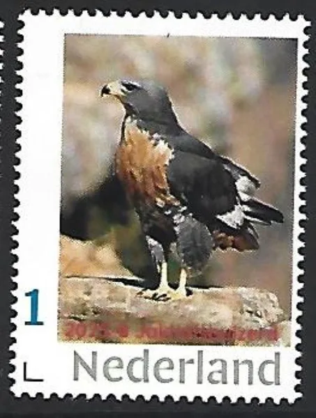 Netherlands 2025-8 Jackal Buzzard MNH