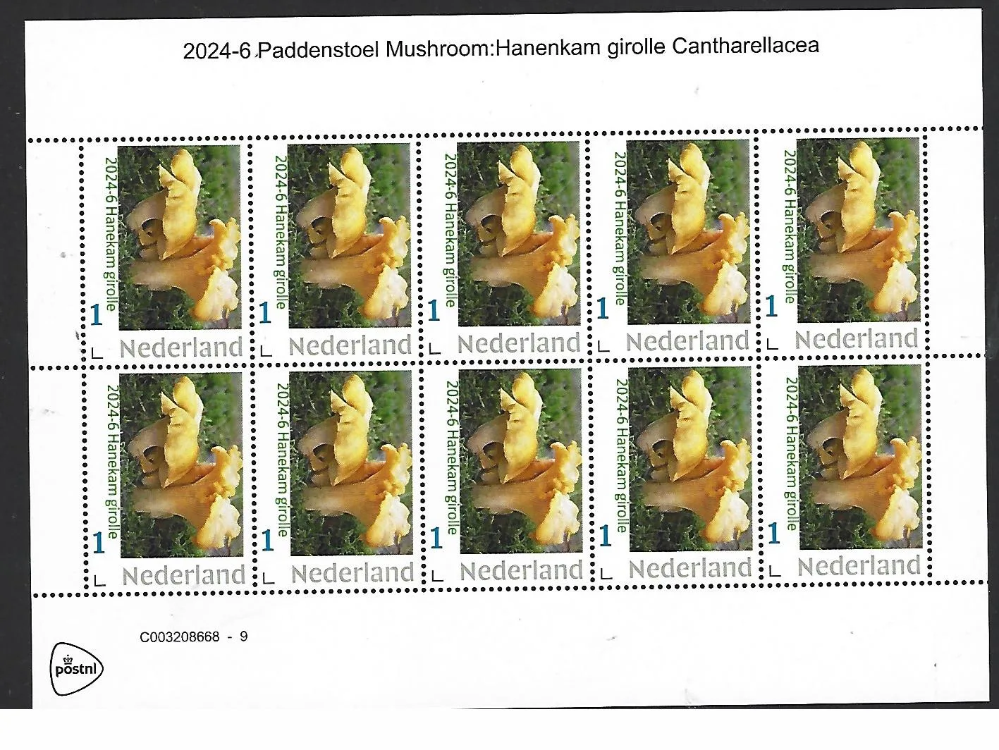 Pays-Bas 2024-6 Champignons Chanterelle Girolle Cantharellacea feuillet neuf/mnh