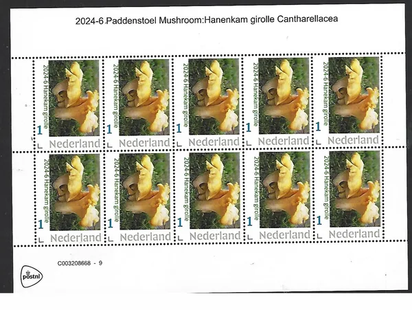 Netherlands 2024-6 Mushrooms Chanterelle Girolle Cantharellacea sheetlet MNH